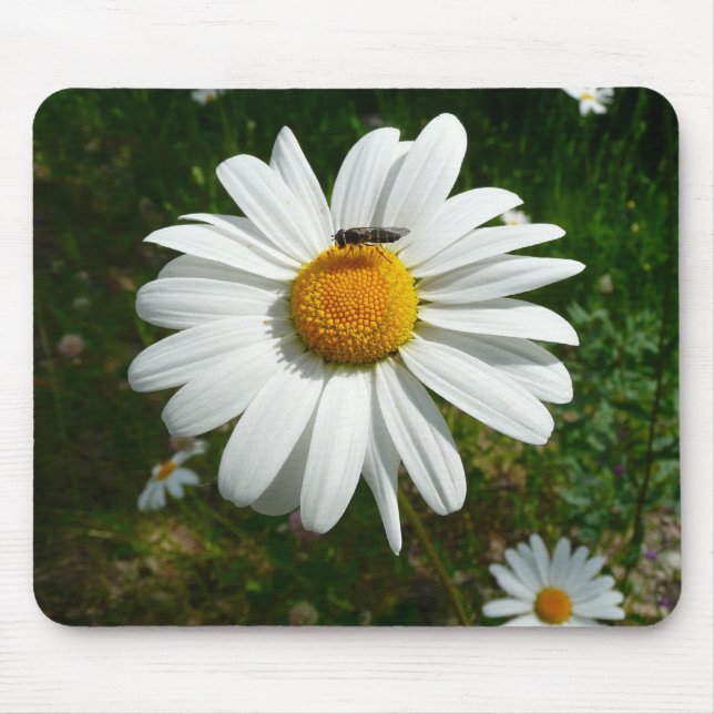 Mousepad Abelha em Margarida Fotografia da Natureza de Verã (Frente)