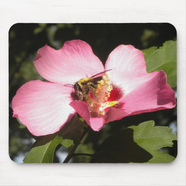 Mousepad Abelha em um Rosa do mouse Sharon 2 (Frente)