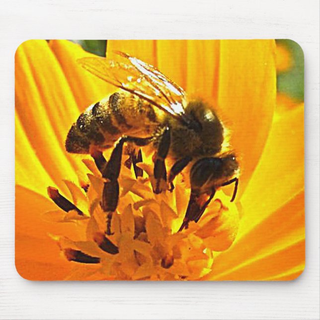 Mousepad Abelha em uma flor (Frente)