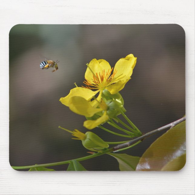 Mousepad abelha, flor (Frente)