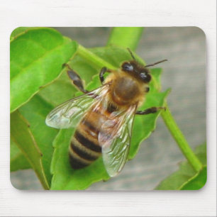 Mousepad Abelha Melífera