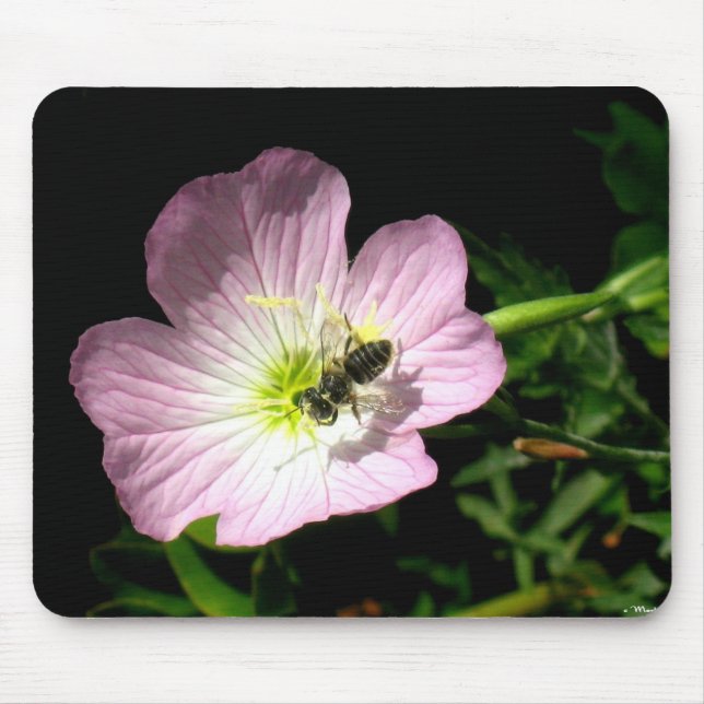 Mousepad Abelha na flor (Frente)