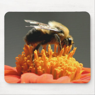 Mousepad Abelha na flor alaranjada