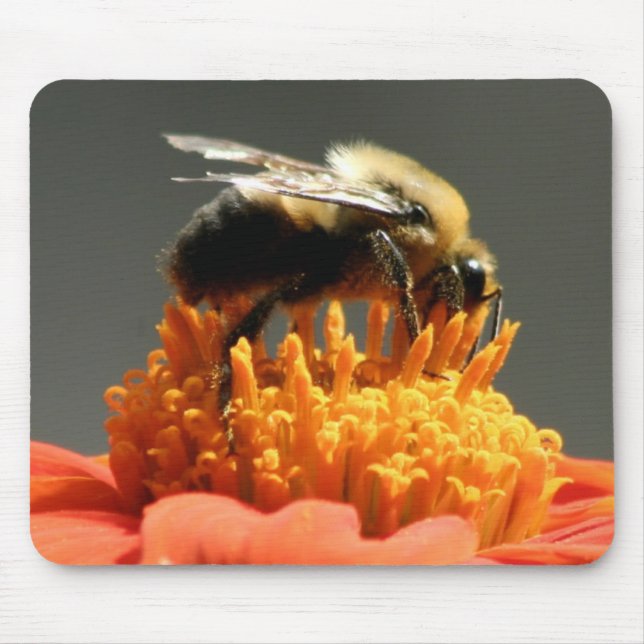 Mousepad Abelha na flor alaranjada (Frente)