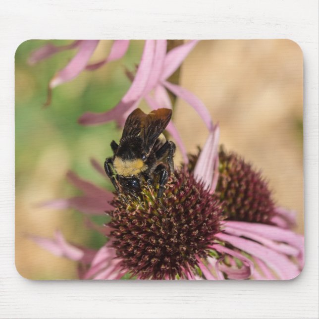 Mousepad Abelha Na Susan Pano De Olho Negro (Frente)