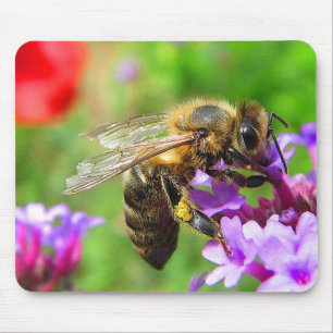 Mousepad Abelha no Verbena