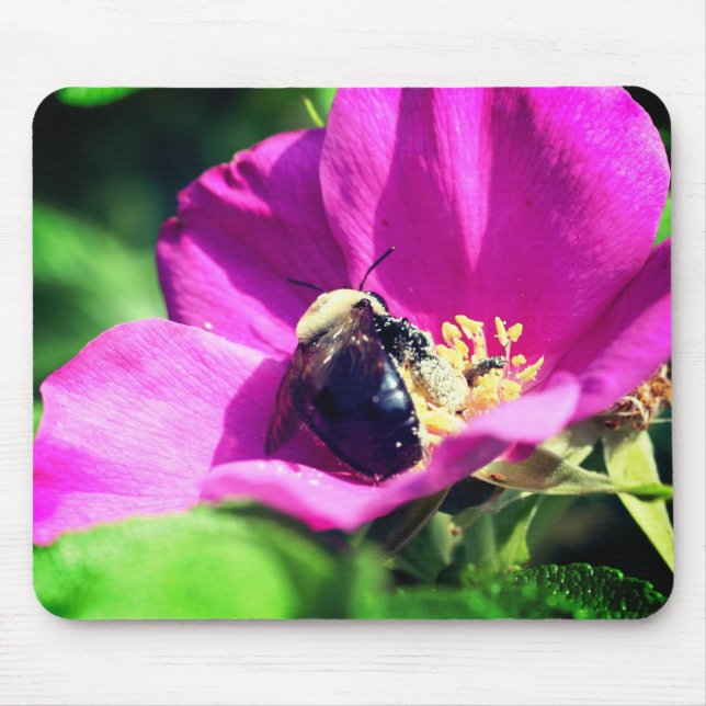 Mousepad Abelhas De Bumble Na Flor De Rosa (Frente)