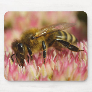 Mousepad Abelhas de mel ocidentais