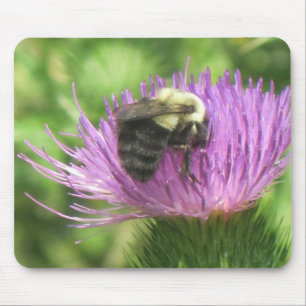 Mousepad Abelhas e Abelhas