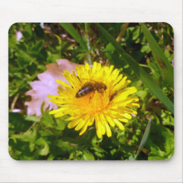 Mousepad Abelhas e aleões