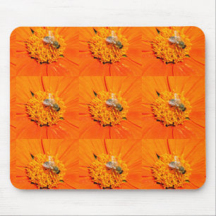 Mousepad abelhas melíferas em museu laranja