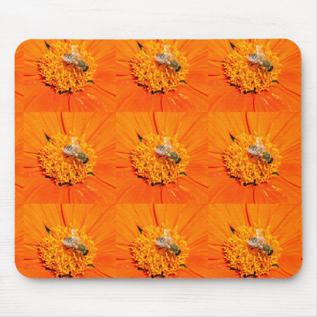 Mousepad abelhas melíferas em museu laranja (Frente)