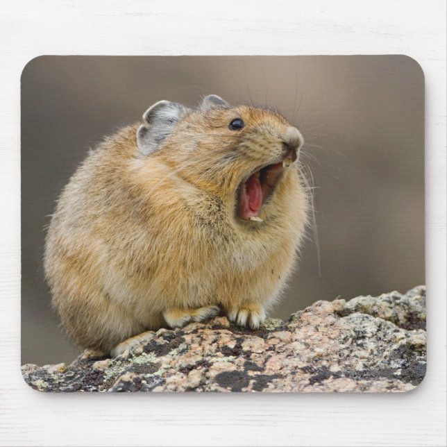 Mousepad Abra largamente (Frente)