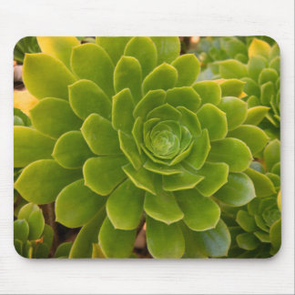 Mousepad Abraço Verde da Madeira