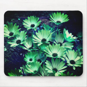 Mousepad Abstrato Green Daisies Flower Art
