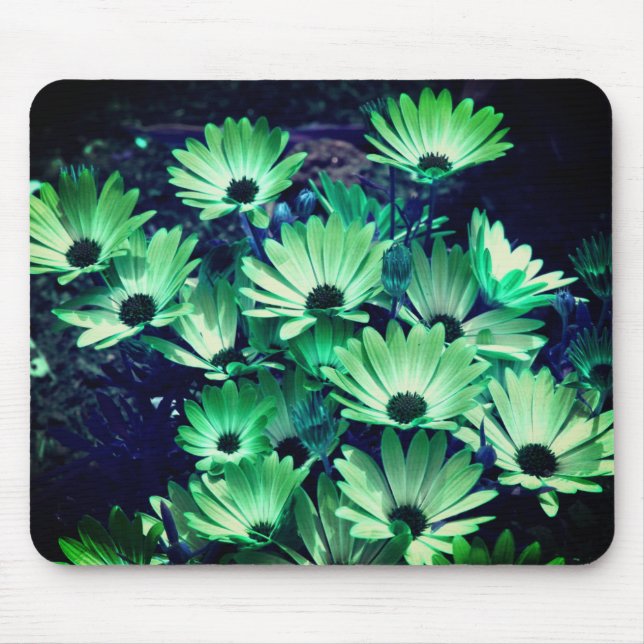 Mousepad Abstrato Green Daisies Flower Art (Frente)