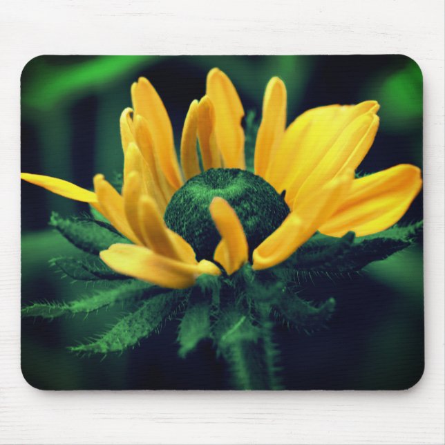 Mousepad Abstrato Verde Black Eyed Susan Flower Art (Frente)