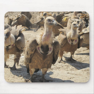 Mousepad Abutre de Griffon