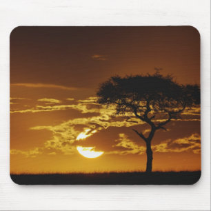 Mousepad Acácia Espinho de Guarda-Chuva, Acacia tortilis,