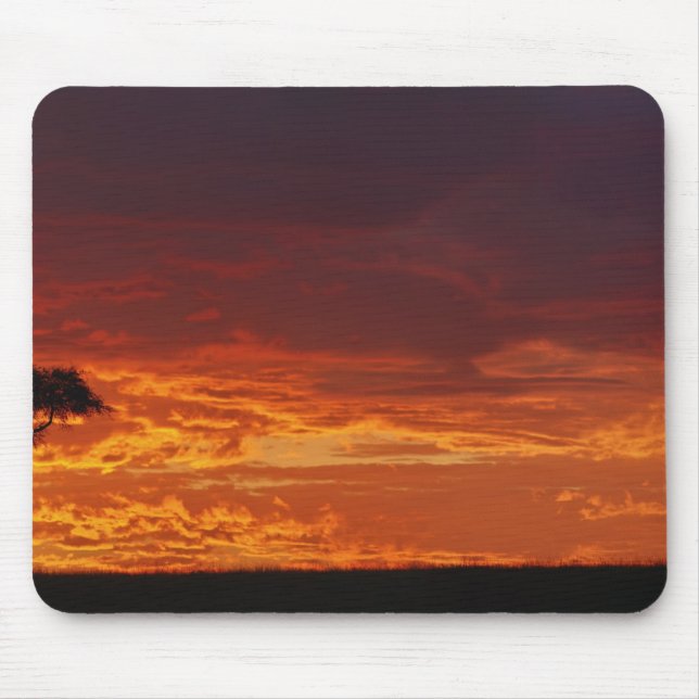 Mousepad Acácia Espinho de Guarda-Chuva, Acacia tortilis, 2 (Frente)