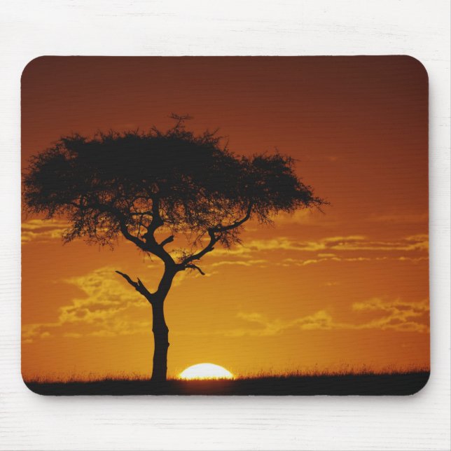 Mousepad Acácia-espinhosa, Acacia tortilis, (Frente)
