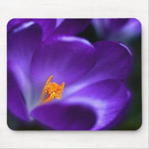 Mousepad açafrão