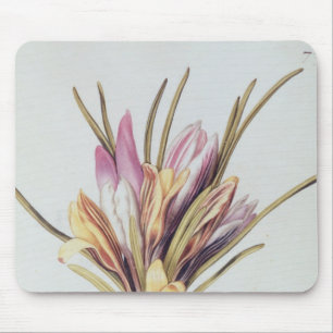 Mousepad Açafrão ou açafrão, 'de La Guirlande de Julie'