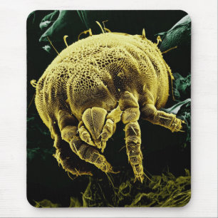 Mousepad Ácaro microscópico Lorryia Formosa de Acari do