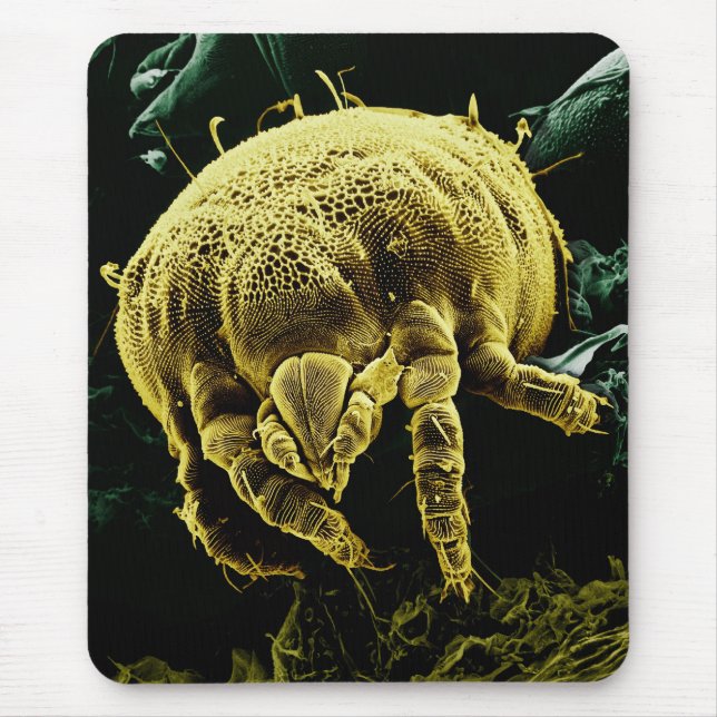 Mousepad Ácaro microscópico Lorryia Formosa de Acari do (Frente)