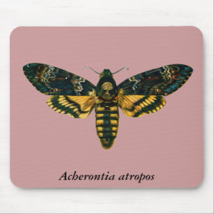 Mousepad Acherontia atropos (Hawkmoth Cabeça da Morte)