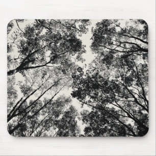 Mousepad Acima através das árvores, imagens do SVP de 201