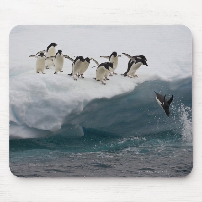 Mousepad Adelie Penguins mergulhando no mar Paulette (Frente)