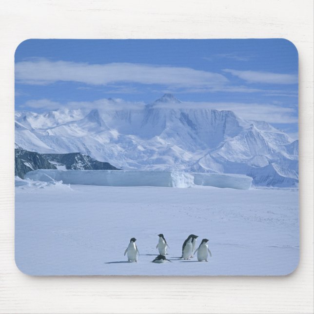 Mousepad Adelie Penguins, Pygoscelis adeliae), (Frente)