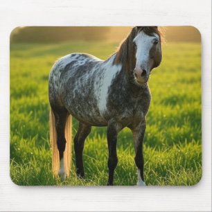 Mousepad Adicionar Foto de Cavalo Personalizar