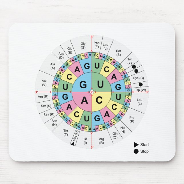 Mousepad ADN do código genético dos ácidos aminados dos (Frente)