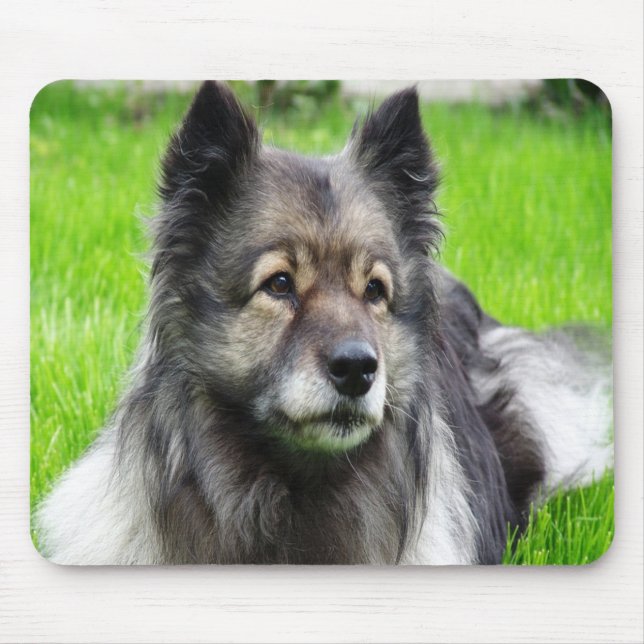 Mousepad Adorable Keeshond (Frente)