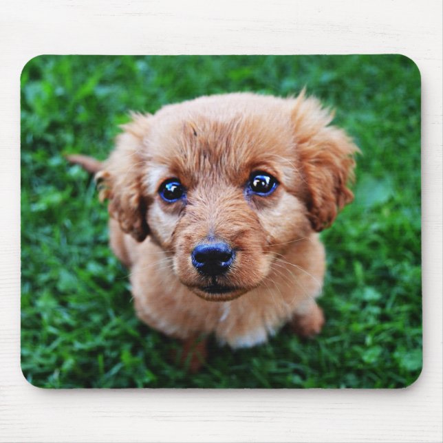 Mousepad Adorable Puppy Photo (Frente)