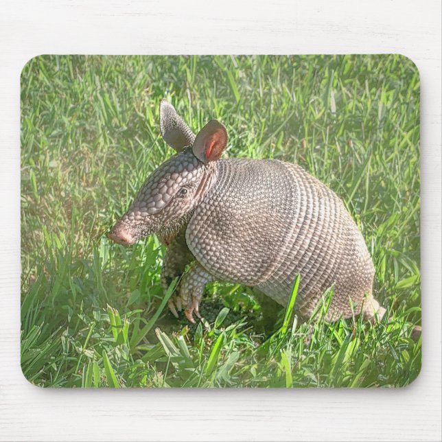 Mousepad Adorável Baby Armadillo (Frente)