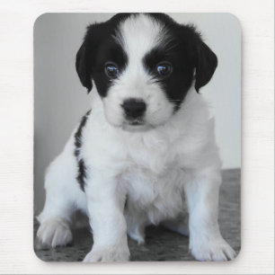 Mousepad Adorável Cachorrinho Preto e Branco