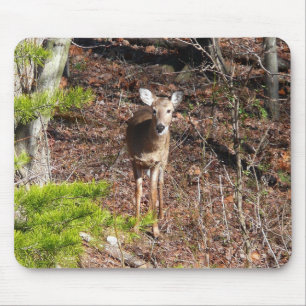 Mousepad Adorável cervo na fotografia da natureza