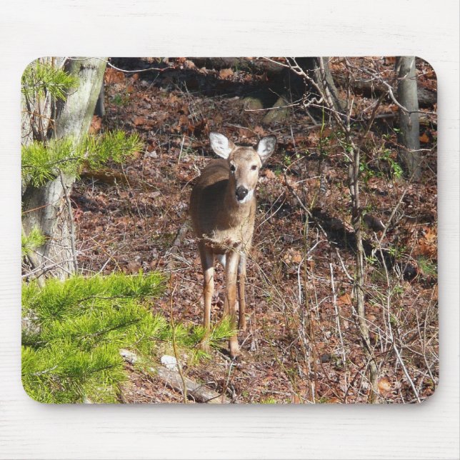 Mousepad Adorável cervo na fotografia da natureza (Frente)