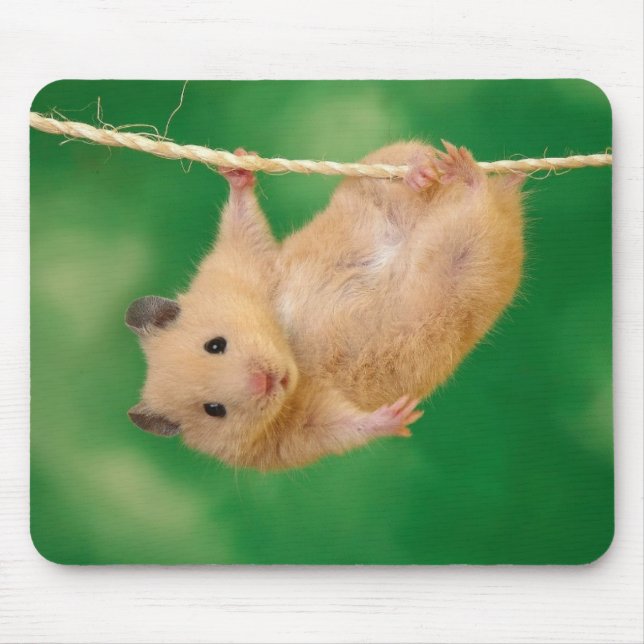 Mousepad adorável do hamster (Frente)
