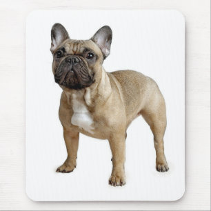 Mousepad Adoro o cachorro-do-mato-do-cachorro