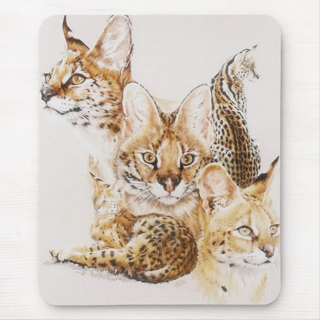 Mousepad Adroit (Frente)