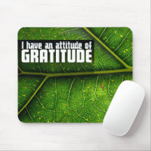 Afirmação de Motivação "Atitude de gratidão"