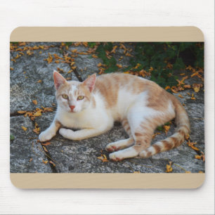 Mousepad Afortunado o gato bonito