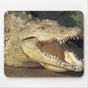 Mousepad África, África do Sul crocodilo-do-nilo
