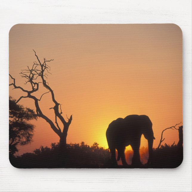 Mousepad África, Botsuana, Parque Nacional Chobe, Cenário (Frente)