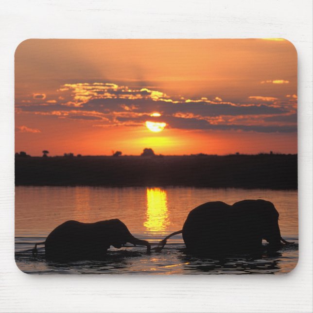 Mousepad África, Botsuana, Parque Nacional Chobe, Manada (Frente)