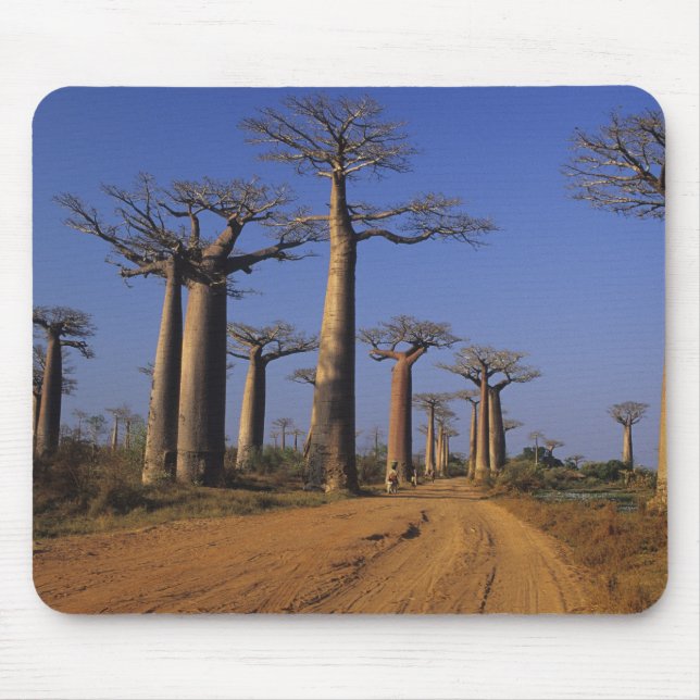 Mousepad África, Madagáscar, Morondava, Avenida Baobab. (Frente)